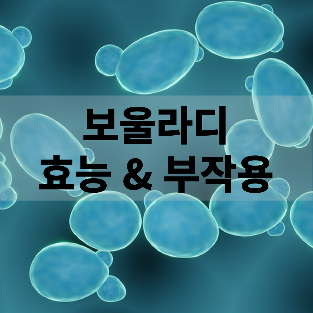 보울라디(saccharomyces boulardii) 효능 및 부작용, 복용 방법