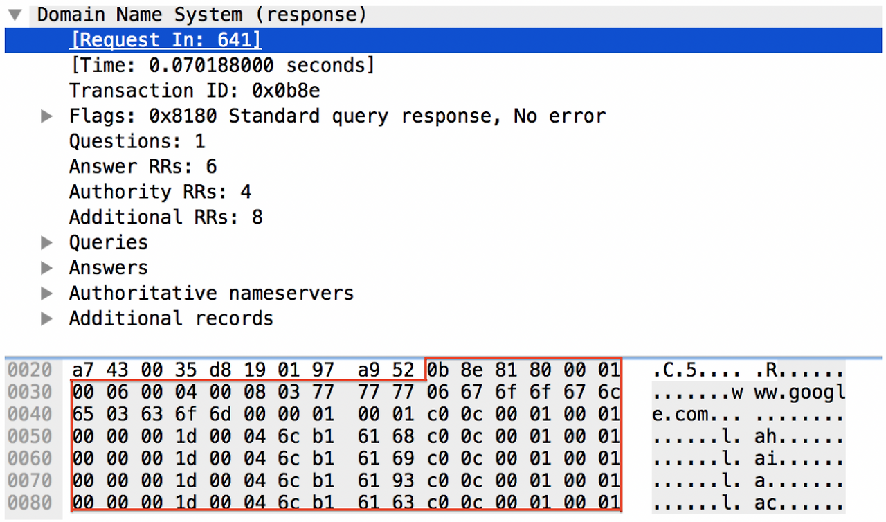 wireshark filter dns packets