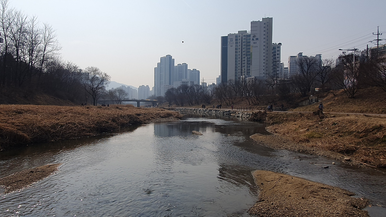 [20230305]봄이 오는 길목에 안양 학의천 풍경