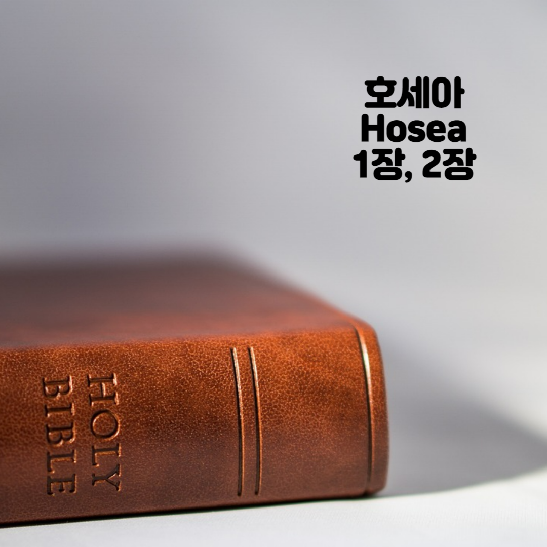 Holy BIBLE 생명의 삶 영어 한글 성경 말씀 - 호세아(Hosea) 1장, 2장