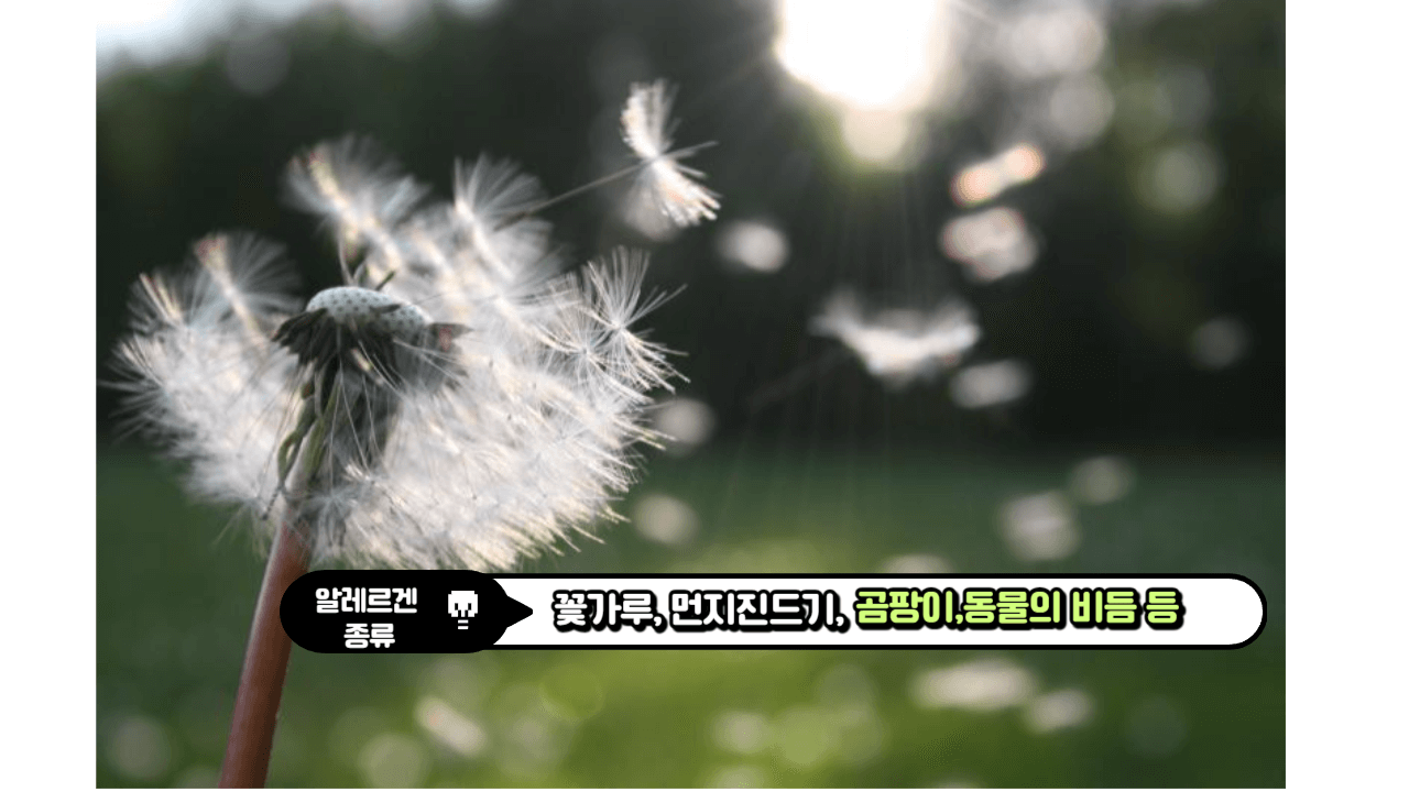 지긋 지긋한 만성 질환 : 알레르기 비염이란 무엇인가? 2 ywAAAAAAQABAAACAUwAOw==