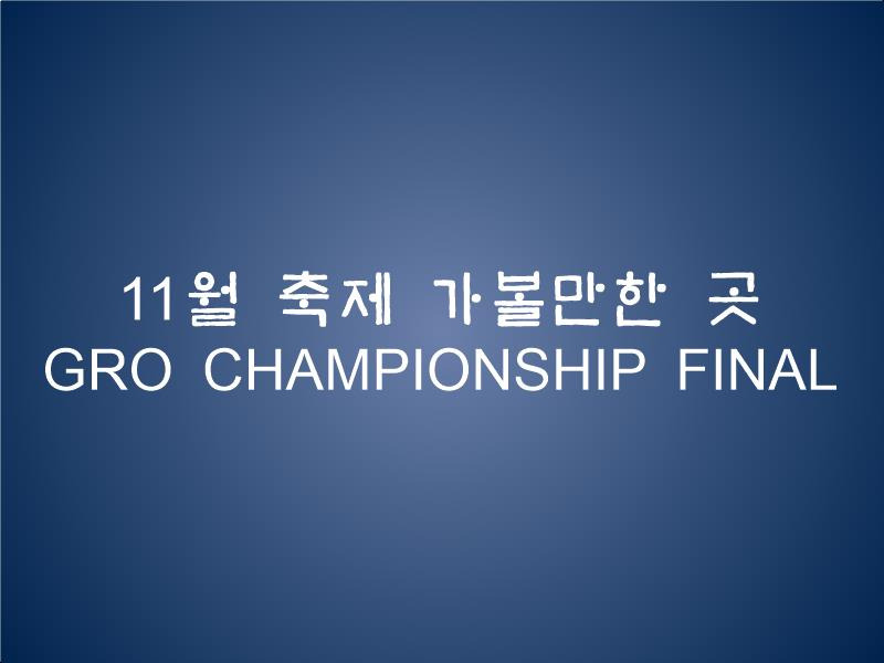 11월 축제 가볼만한 곳 제주 9.81파크 GROC CHAMPIONSHIP FINAL