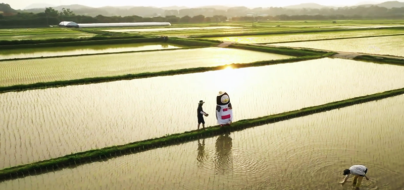 ?scode=mtistory2&fname=https%3A%2F%2Fblo