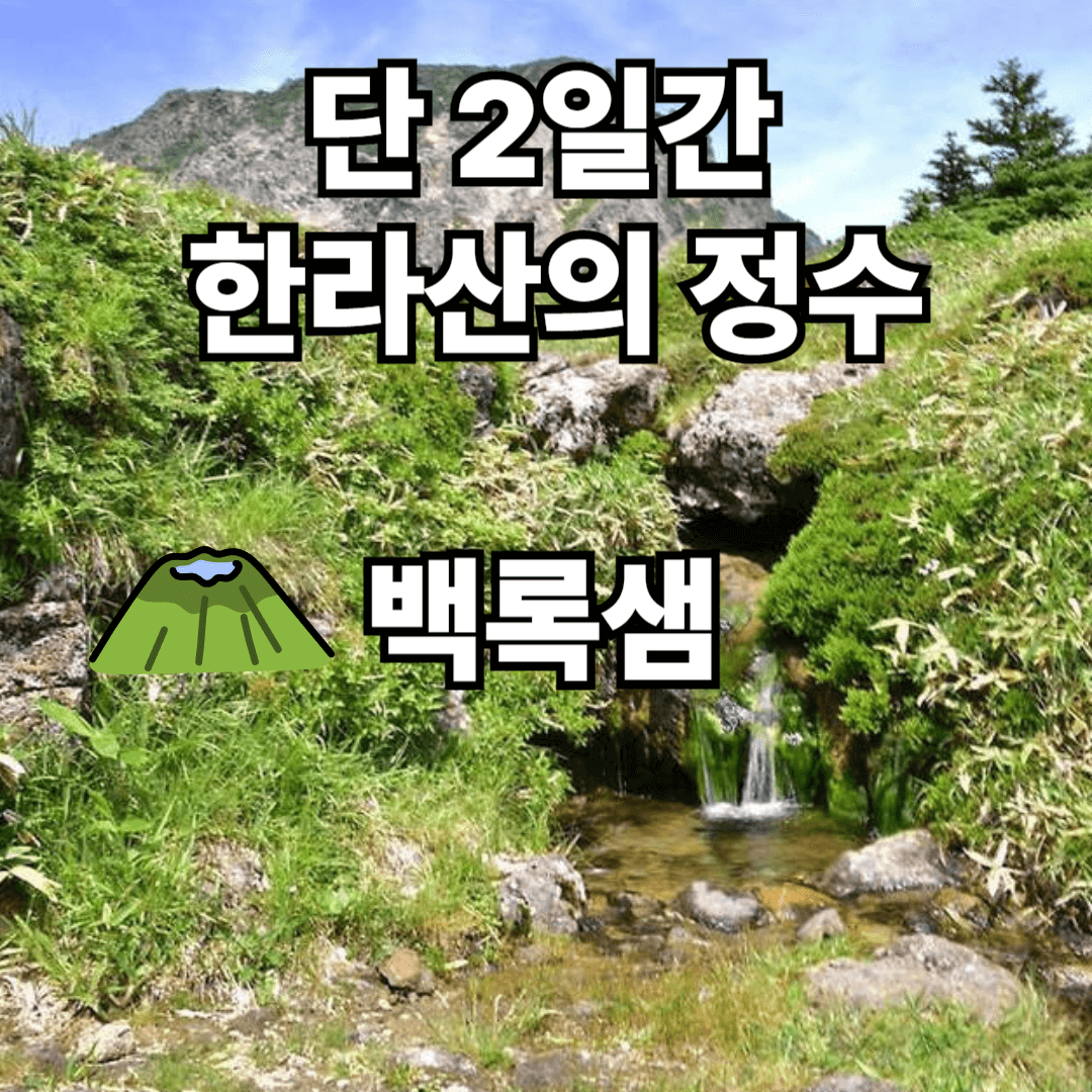아로스 팝업