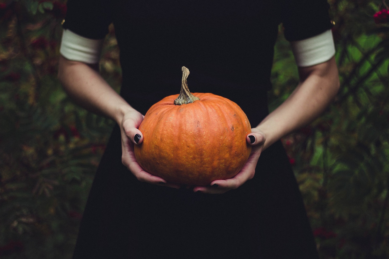 할로윈(Halloween)에 대해서 알아보기 5 ywAAAAAAQABAAACAUwAOw==