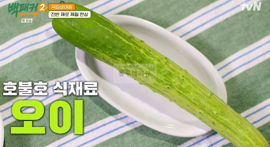 백패커2 오이탕탕이 만들기 레시피, 오이 탕탕이 비법 소스 6 ywAAAAAAQABAAACAUwAOw==