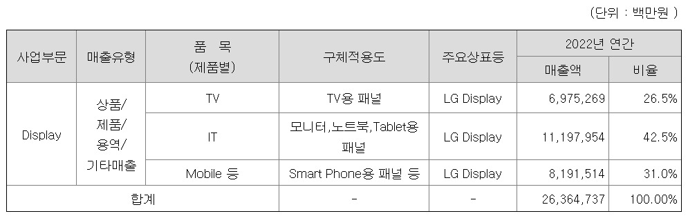 LG디스플레이 : 기업 소개 / 종목 분석 / 주가 전망