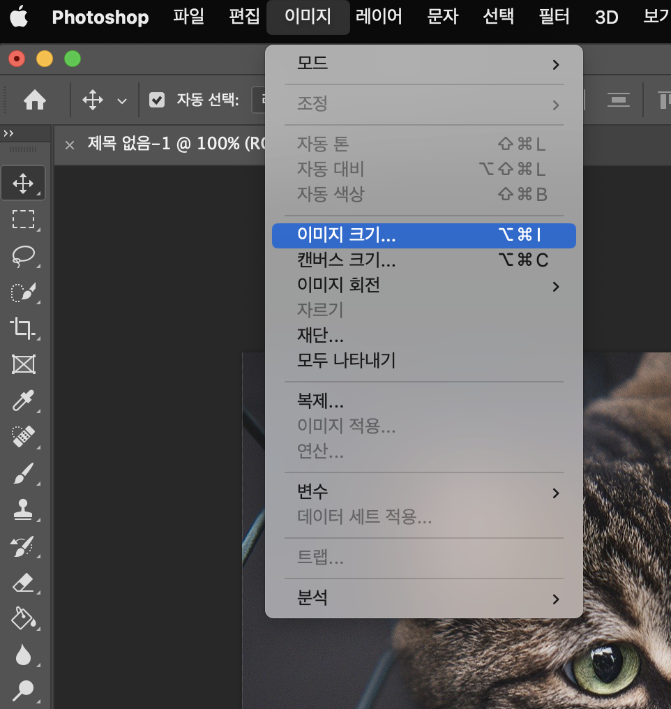 [포토샵 기초] ppi, dpi 차이점과 해상도 변경 방법