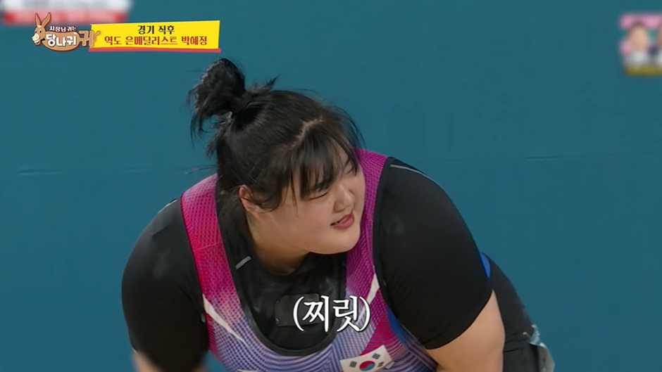 다리다리게임분석기