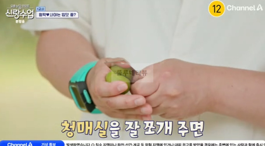 신랑수업 한국식 매실장아찌 레시피 - 정준하 청매실 황매실 3 ywAAAAAAQABAAACAUwAOw==