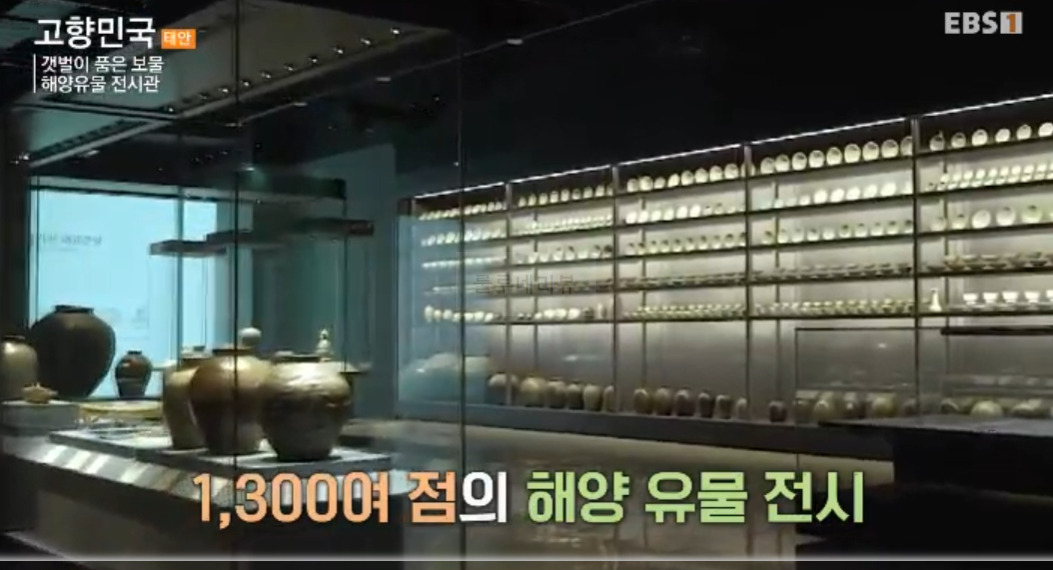 고향민국 갯벌이 품은 보물 해양유물 전시관 태안 촬영지 장소 위치 어디? 2 ywAAAAAAQABAAACAUwAOw==