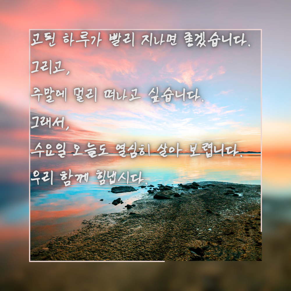 수요일 아침 인사말 문구 모음 이미지