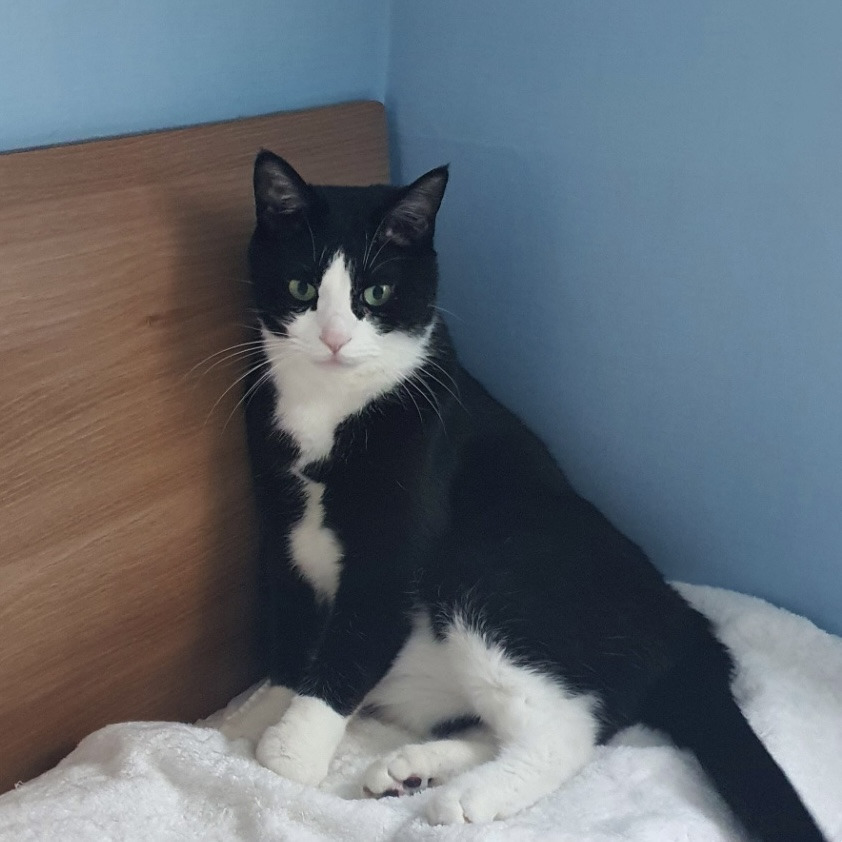 ?scode=mtistory2&fname=https%3A%2F%2Fblo