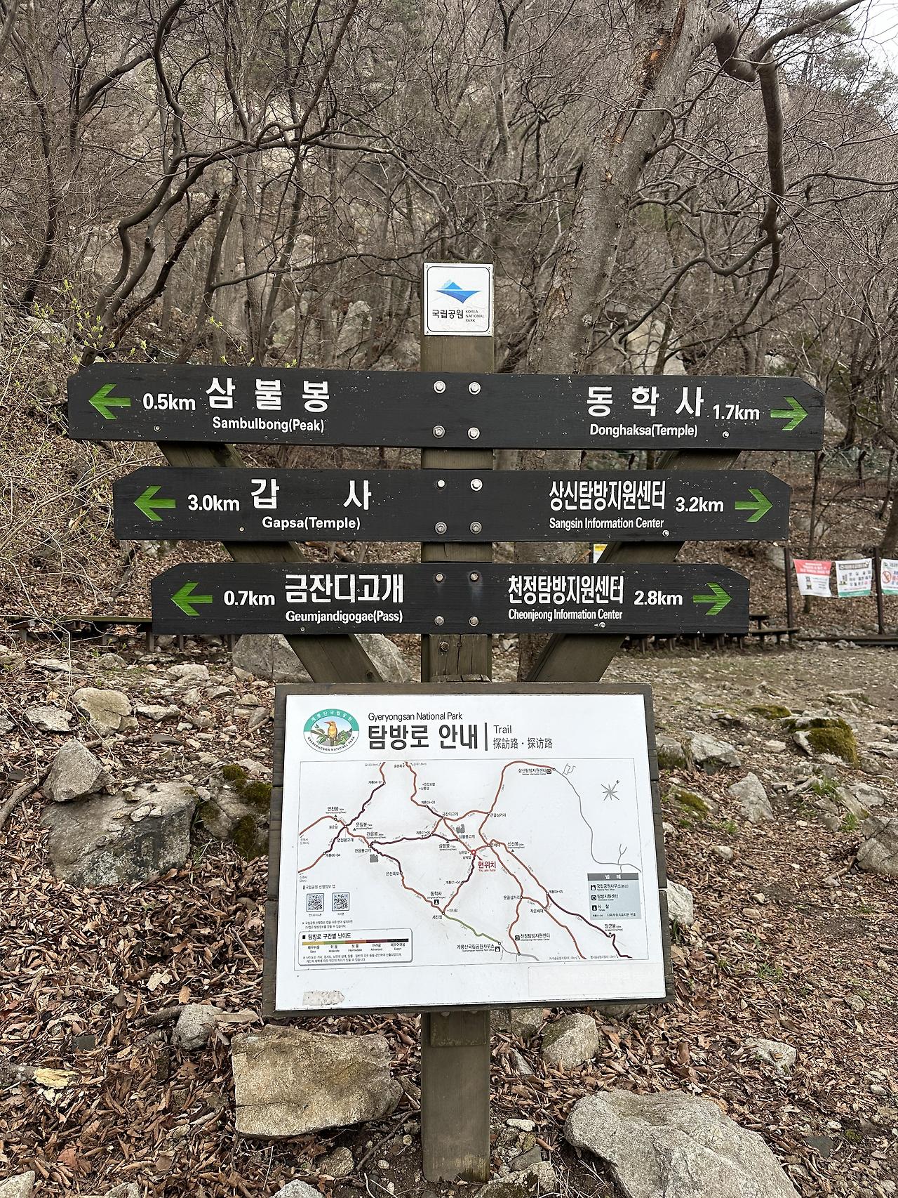 대전 가볼만한곳 계룡산 등산 후기 (동학사-남매탑-삼불봉-관음봉-은선폭포-동학사)