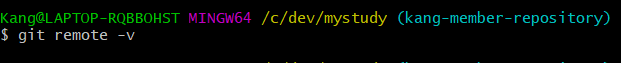 [Git] github 사용 중, fatal: 'origin' does not appear to be a git ...