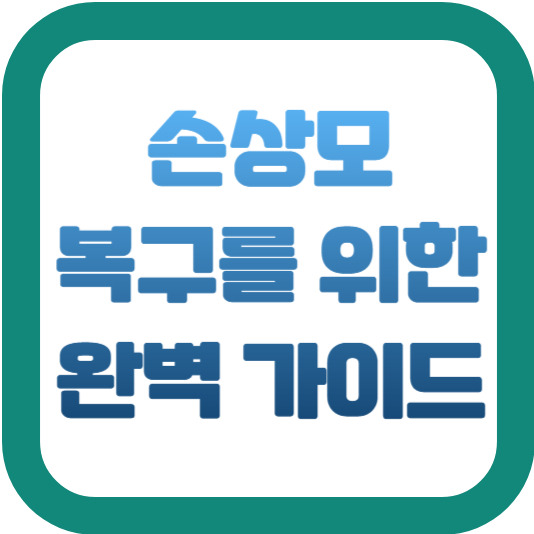 손상모 복구를 위한 완벽 가이드 2 img