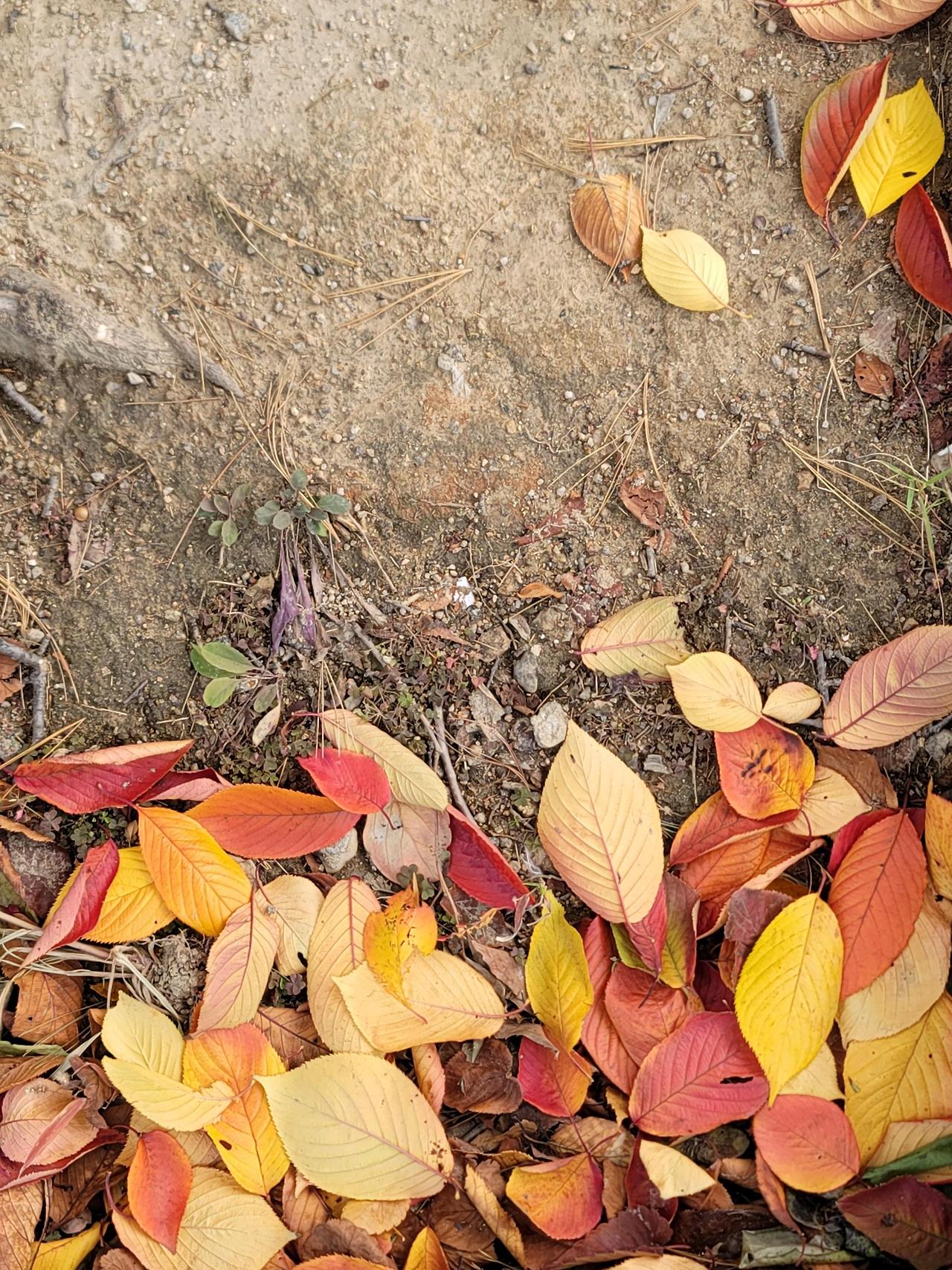 ?scode=mtistory2&fname=https%3A%2F%2Fblo