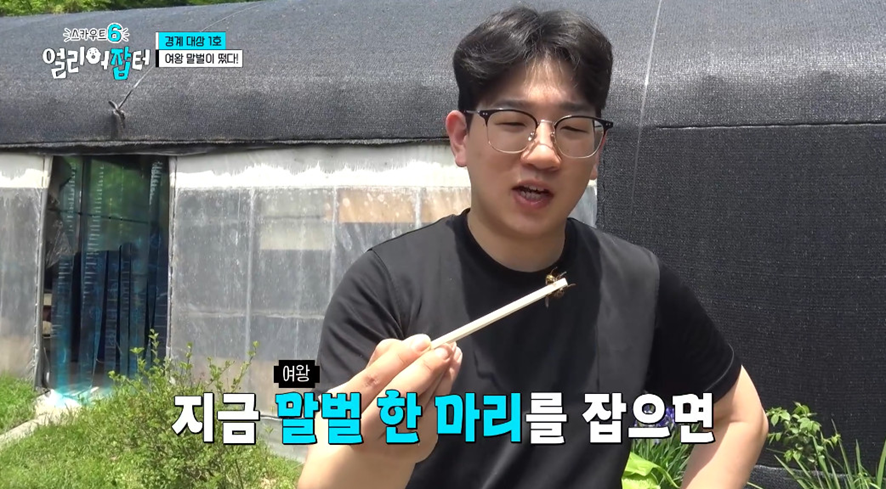옛날이랑 다른 요즘 매출 4억 나온다는 농업.jpg | 인스티즈