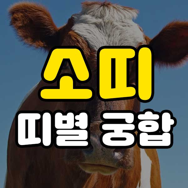 소띠 띠별 궁합 - 소띠와 잘맞는 띠, 소띠 상극인 띠, 소띠 성격
