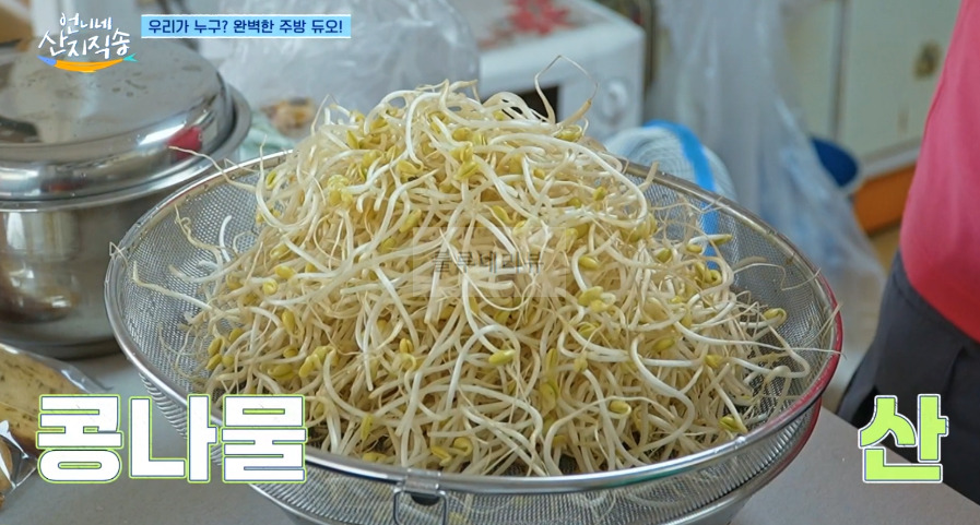 언니네 산지직송 김치 콩나물죽 레시피 - 큰손 정아의 김치콩나물죽 7 ywAAAAAAQABAAACAUwAOw==