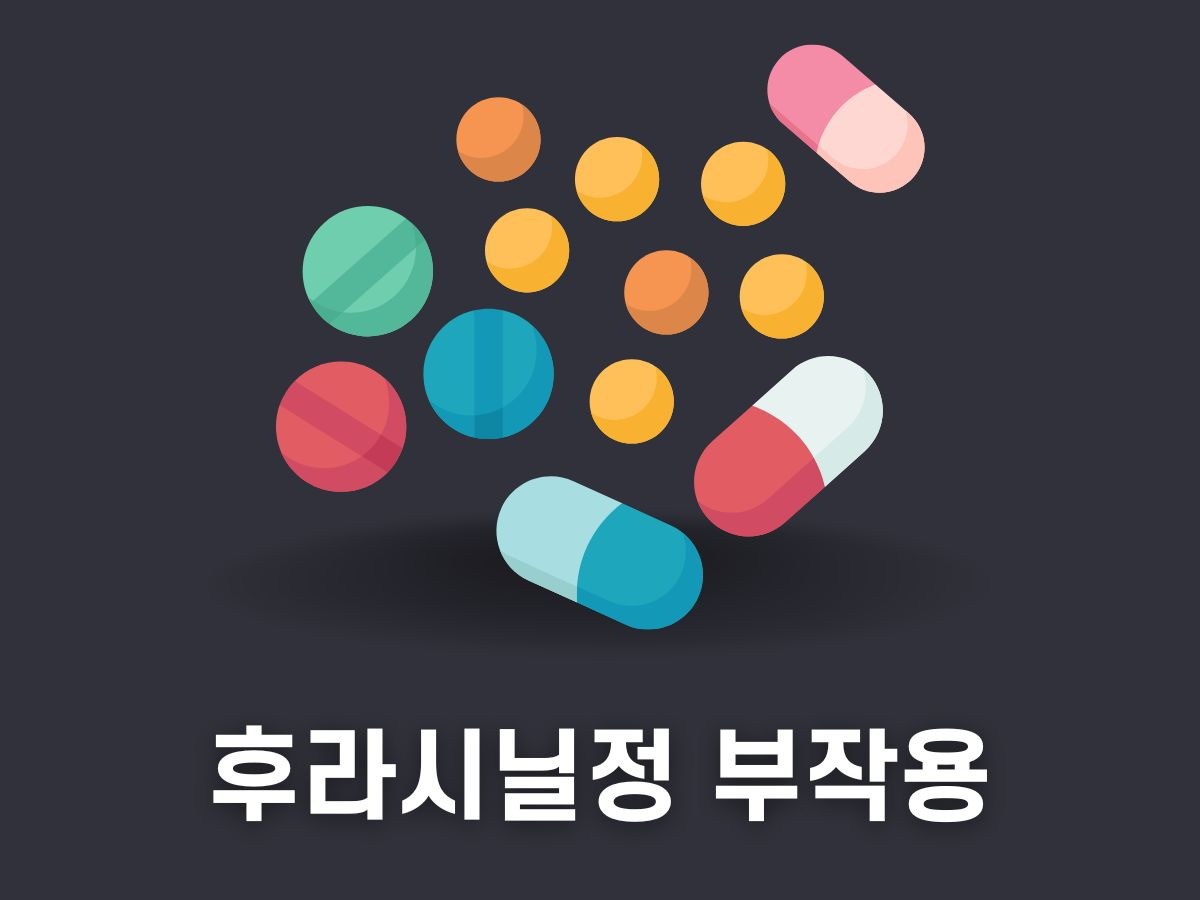 후라시닐정 술 부작용 항생제 (방광염 질염 치료제)