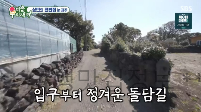 미우새 336회 상민의 판타집 in 제주, 세 번째 집, 보증금 2,000만원 월세 20만원 560평 레트로 초가집 2 ywAAAAAAQABAAACAUwAOw==