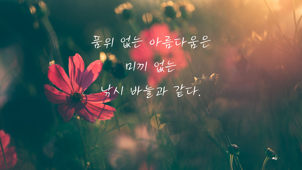 짧고 좋은 글귀 명언 모음
