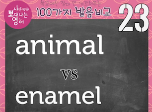애니멀, 에나멜 영어발음 animal vs enamel 발음비교 23강 1 ywAAAAAAQABAAACAUwAOw==