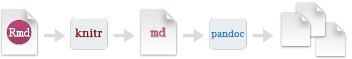 rmarkdown italics