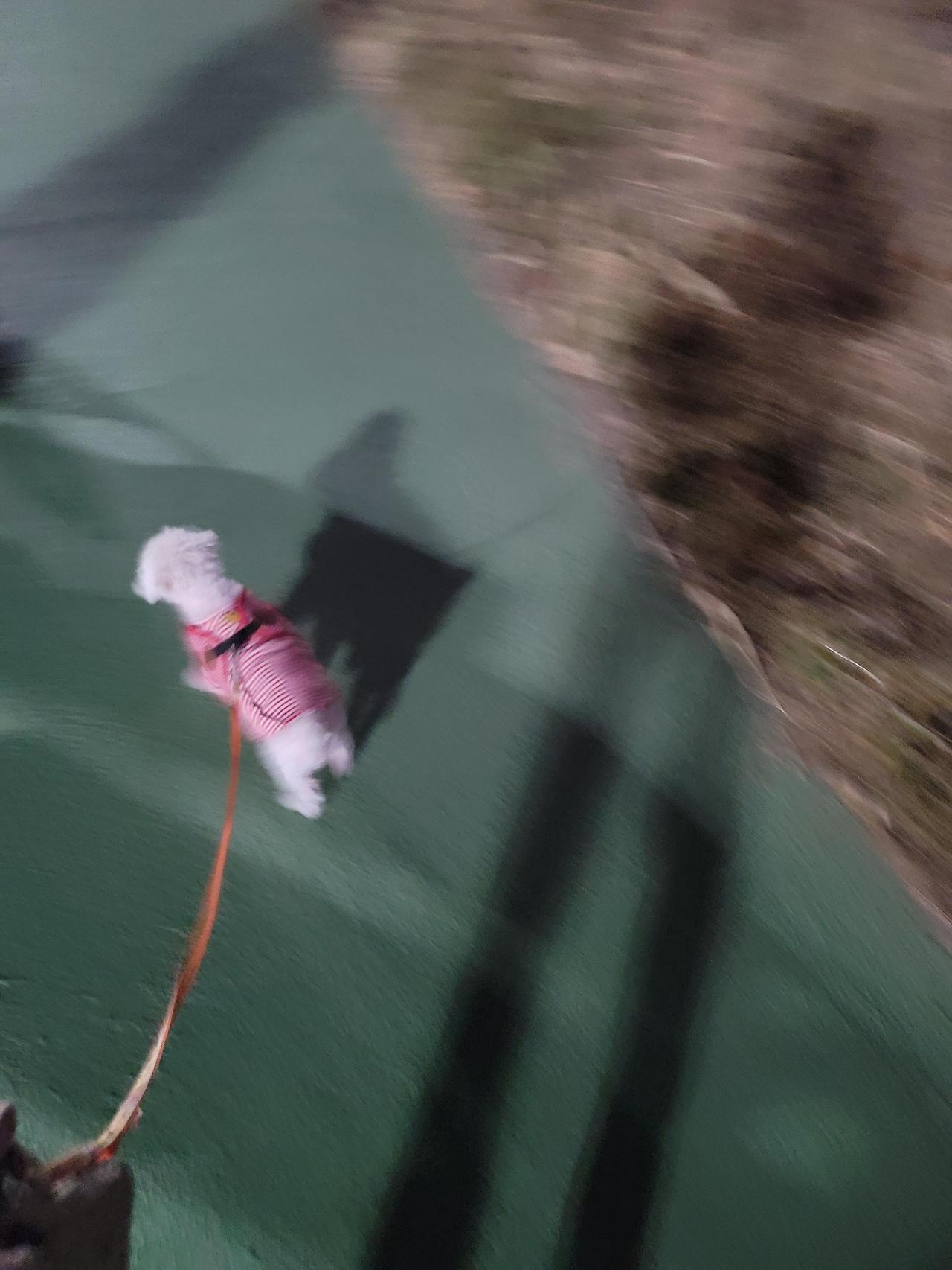 ?scode=mtistory2&fname=https%3A%2F%2Fblo