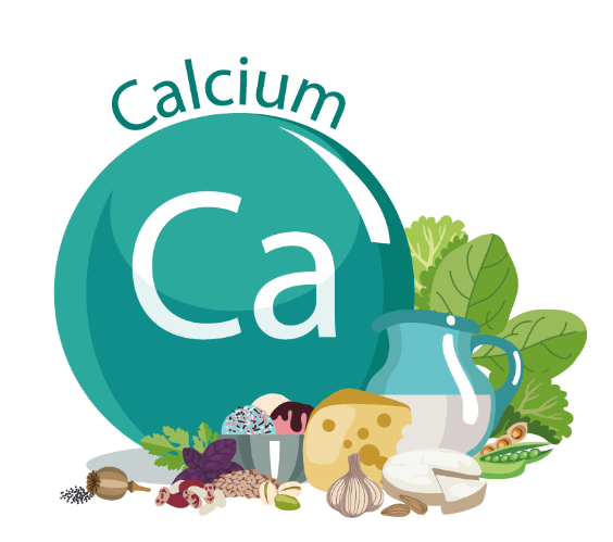 칼슘 (Calcium) 효능과 효과
