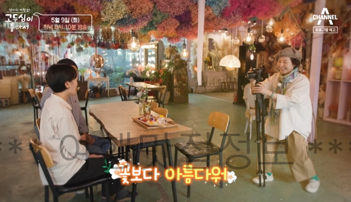 고두심이좋아서 보령 여행 성주 개화예술공원 허브랜드, 꽃담은아이스크림 과일와플 카페 촬영지 위치 어디? 5월 9일 1 ywAAAAAAQABAAACAUwAOw==