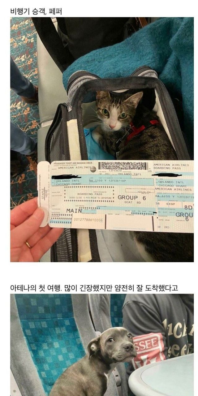 대중교통 안에서 만난 특이한 승객들