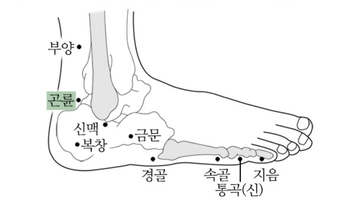부항의 효능과 주의사항