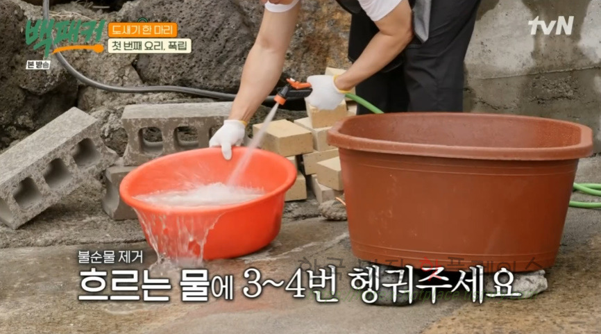백패커 폭립 & 폭립 소스 레시피 - 백종원 폭립 도새기 한 마리 첫 번째 요리 3 ywAAAAAAQABAAACAUwAOw==
