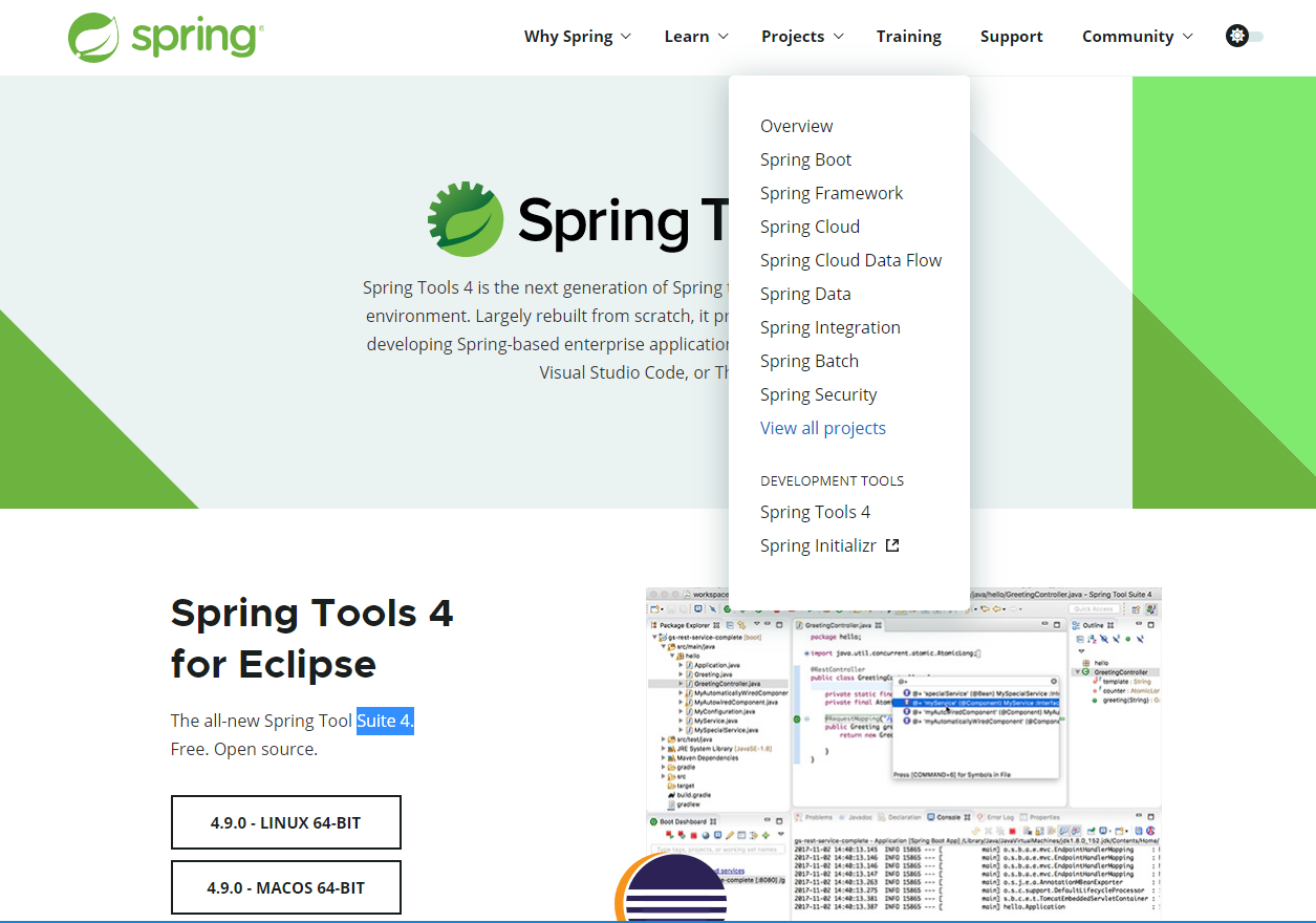 spring boot suite download