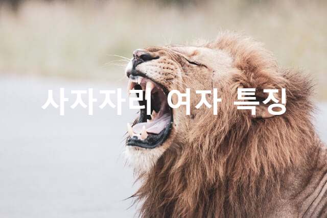 사자자리 여자 특징, 장점, 단점