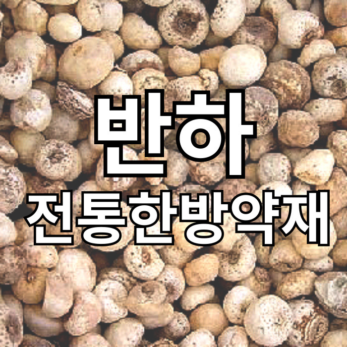 반하: 전통 한방 약재의 모든 것