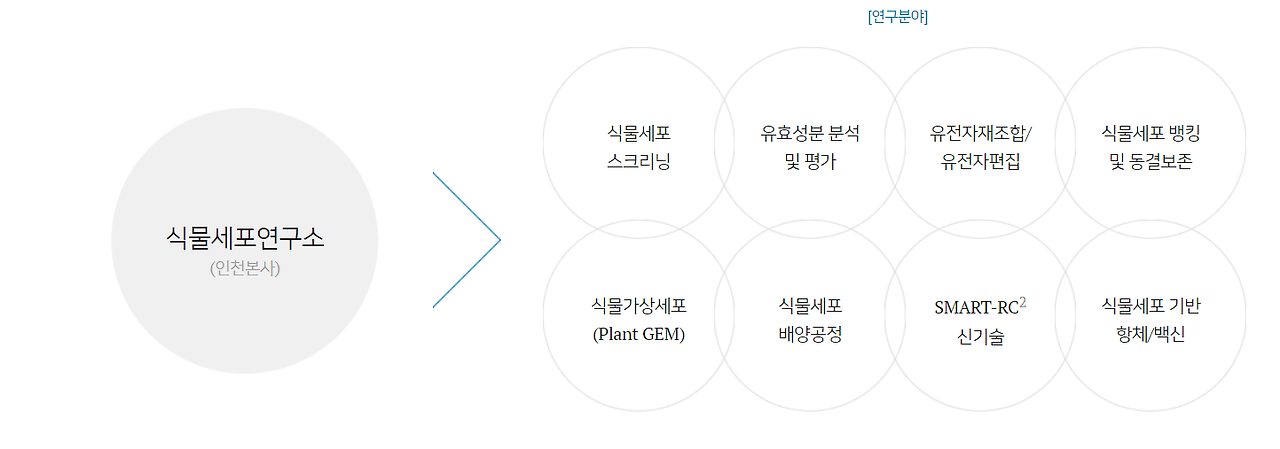 바이오에프디엔씨 공모주 청약안내(2월 9일-10일) 4 ywAAAAAAQABAAACAUwAOw==