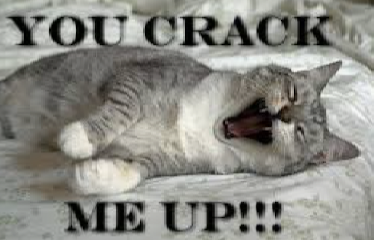 빵 터지다 박장대소하다 엄청 웃기다 영어로 오늘의 영어! 2 ywAAAAAAQABAAACAUwAOw==