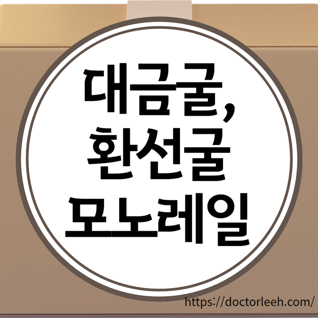 대음굴, 환선굴 입장료 및 모노레일 요금, 삼척 관광지 2곳 추천