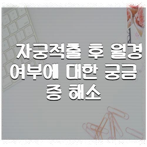 자궁적출 후 월경 여부에 대한 궁금증 해소