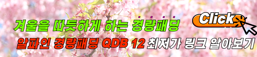 겨울에 따듯한 랩경량패딩, 알파인 자켓 다운자켓 QDB 12 우모복 후기 및 최저가 링크 알아보기