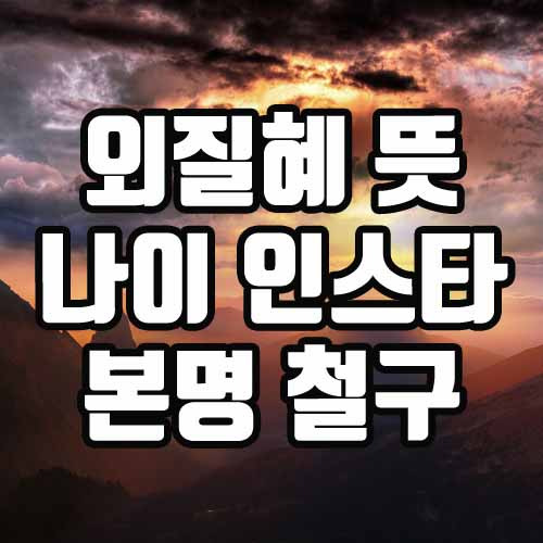 외질혜 뜻 나이 인스타 본명 철구 몸매