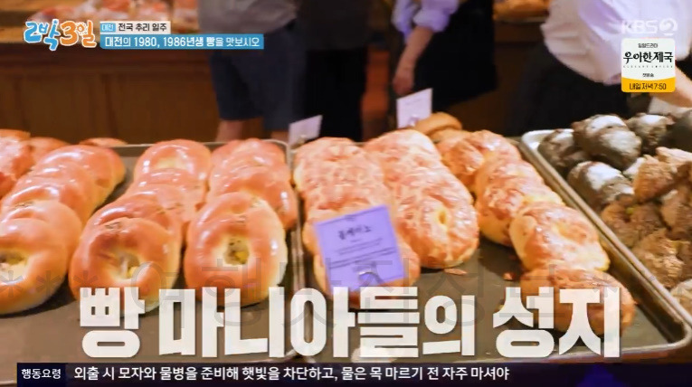 2박3일 대전 1980, 1986년생 빵을 맛보시오 빵집 촬영지 위치 어디? 튀김소보로 부추빵 팥빙수 단팥빵 빵지순례 맛집 핫플 4 ywAAAAAAQABAAACAUwAOw==