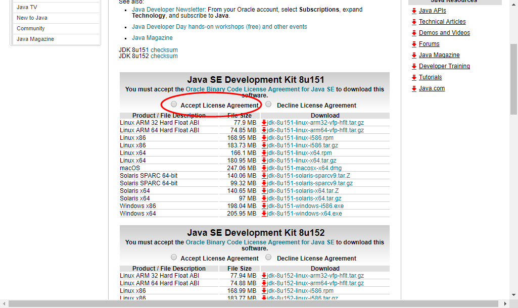  java jdk 