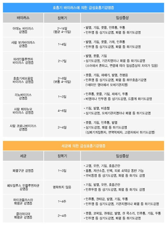 감기인 줄 알았는데 아니라고? 급성호흡기바이러스감염증 총 정리! 2 ywAAAAAAQABAAACAUwAOw==