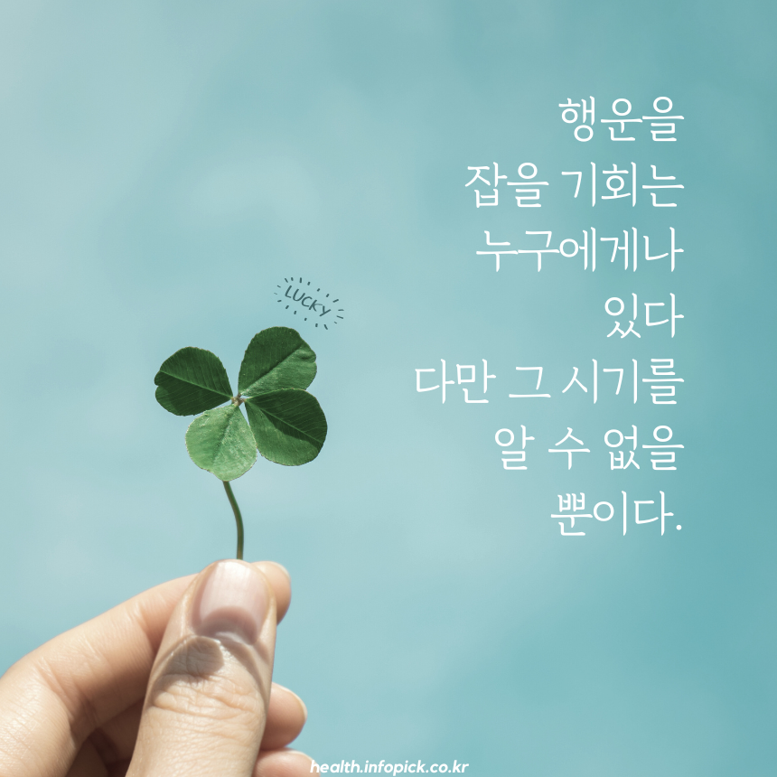 짧고 좋은 글귀 명언 모음 이미지 캘리그라피 문구