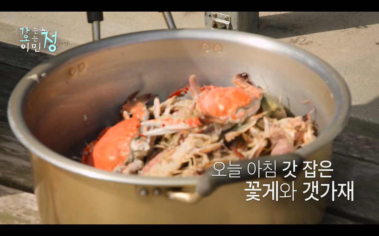 효자도 어르신들 위해서서 시장 전부 털어서 100인분 요리 직접한 이민정 | 인스티즈