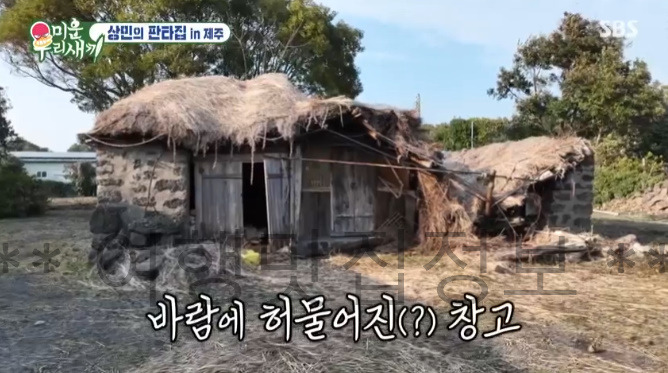 미우새 336회 상민의 판타집 in 제주, 세 번째 집, 보증금 2,000만원 월세 20만원 560평 레트로 초가집 12 ywAAAAAAQABAAACAUwAOw==